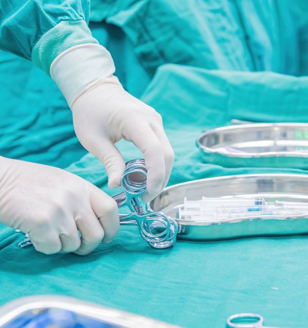 BorakVet Kleintierchirurgie